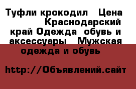 Туфли крокодил › Цена ­ 15 000 - Краснодарский край Одежда, обувь и аксессуары » Мужская одежда и обувь   